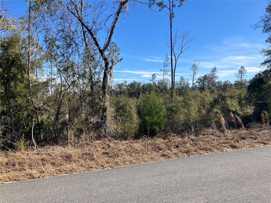 Come see this gorgeous 9.95 acre lot just outside of Newberry, Fl. Rolling hills, mature trees and beautiful views all around. No deed restrictions, and zoned agricultural for your animals, gardens, and barns. Build your new home or place a mobile home on this large sprawling lot and have the privacy and quiet of country living. Easy commute to UF , Gainesville, High Springs or Ocala. Just 3 miles south of Newberry this is a great location and a must see property! Call me today for a showing.
