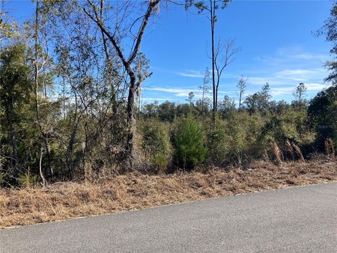 5905 SW 298TH STREET NEWBERRY FL 32669