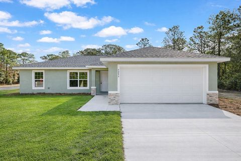 Photo of 9299 N Hunter Way, Dunnellon, FL 34433 (MLS # OM716339)