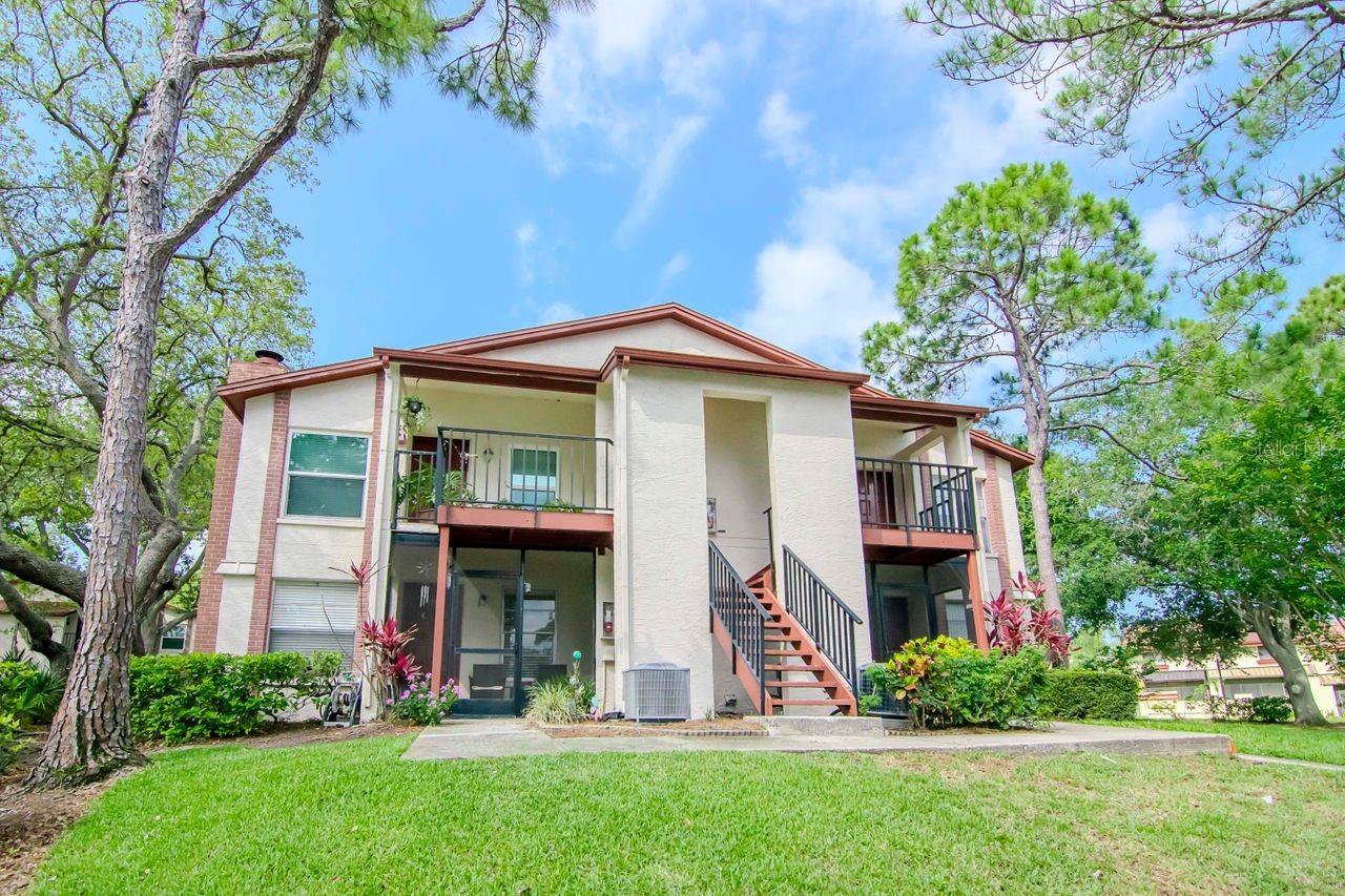 3455 COUNTRYSIDE BOULEVARD 31