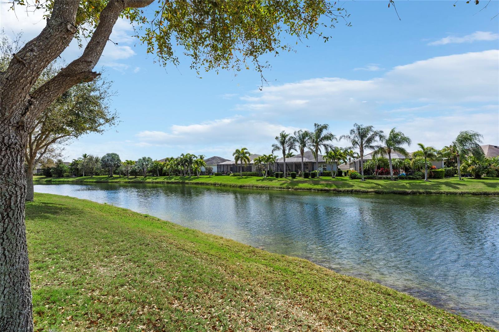 CENTRAL PARK SUBPHASE D-1BB, D-2A & D-2B - Residential