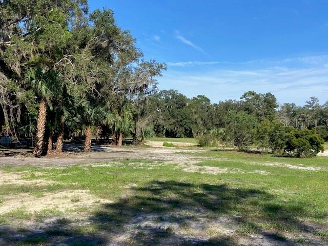 Photo of 129 SE 122nd Avenue, Old Town, FL 32680 (MLS # O6450139)