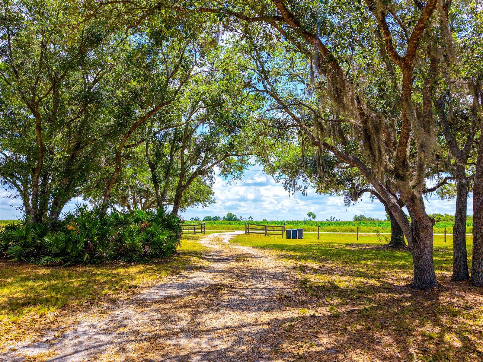 ACREAGE - Residential