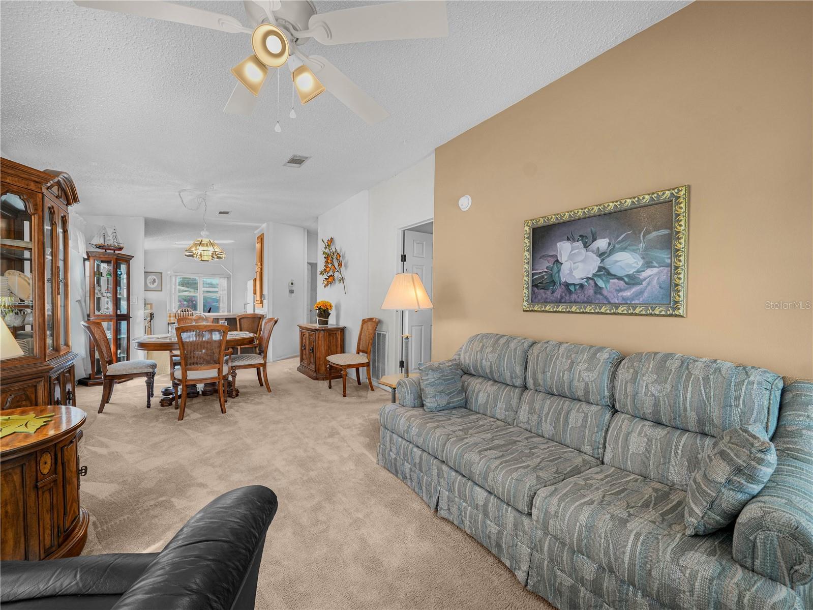 SADDLEBAG LAKE - Residential