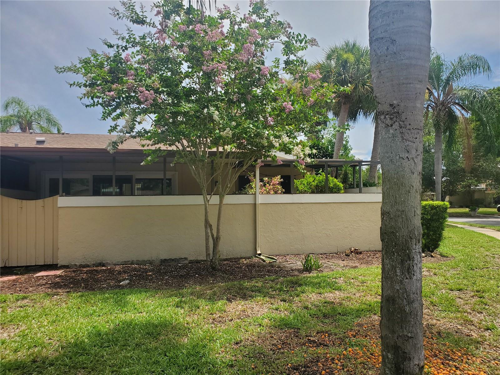 PIPERS GLEN CONDO - Residential