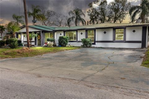 Photo of 628 Peterson Street, Wauchula, FL 33873 (MLS # L4950064)