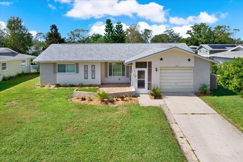 A home in PALM HARBOR