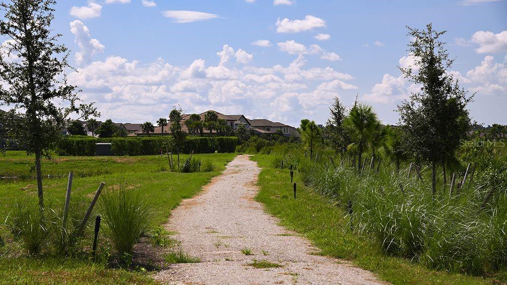 CASSIA AT SKYE RANCH - Residential