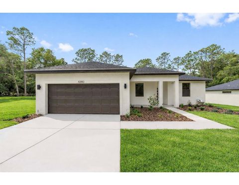 4380 SW 159TH COURT OCALA FL 34481