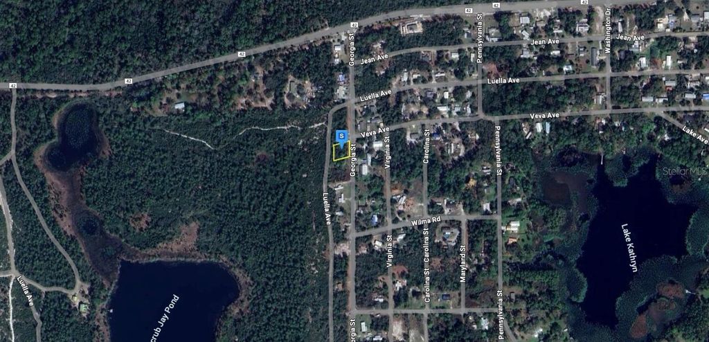 Photo of 45705 Georgia Street, Paisley, FL 32767 (MLS # A4673294)