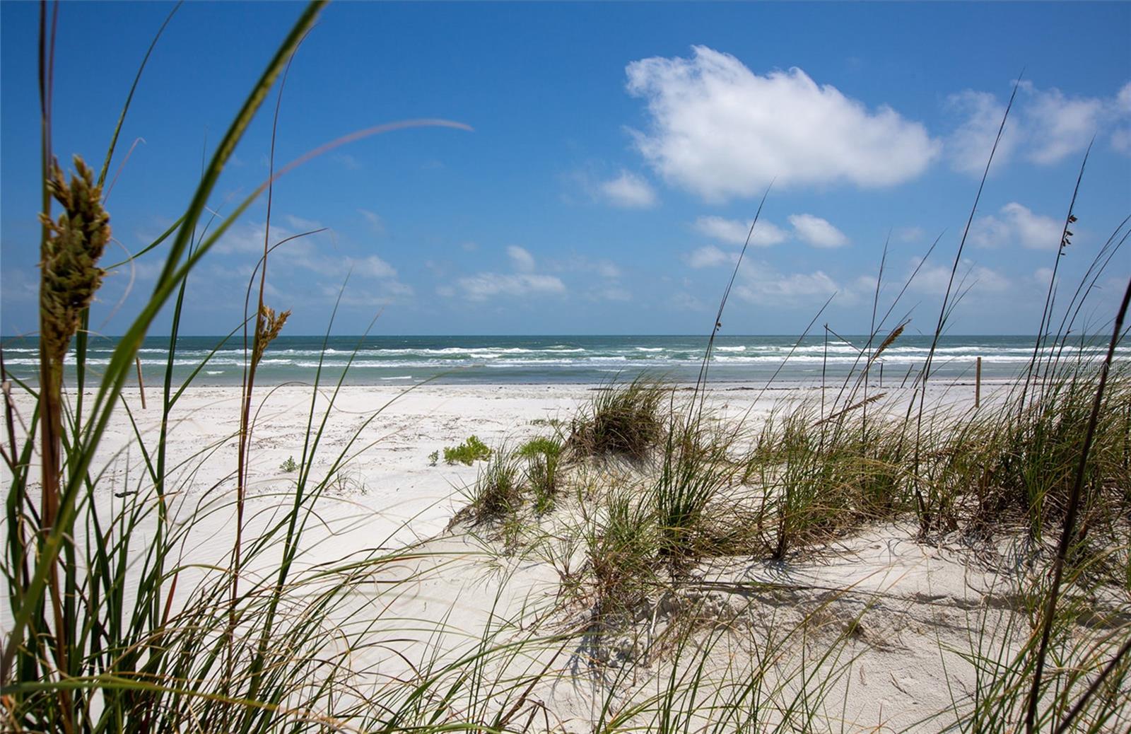 265 MINORCA BEACH WAY 505