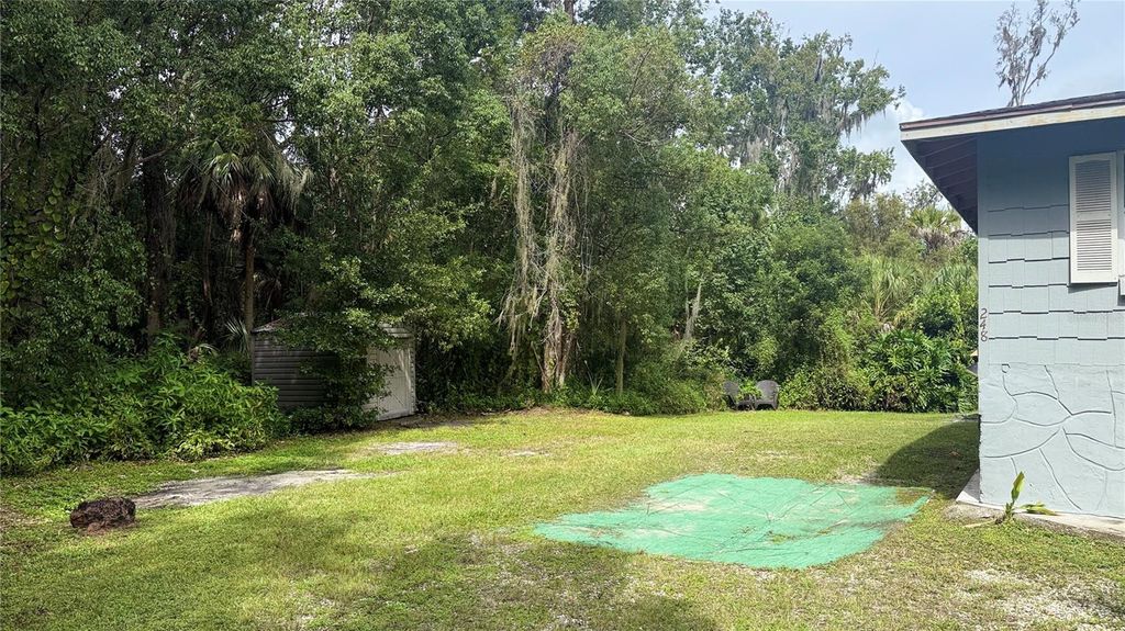 Photo of 248 Fraser Road, Debary, FL 32713 (MLS # V4945294)