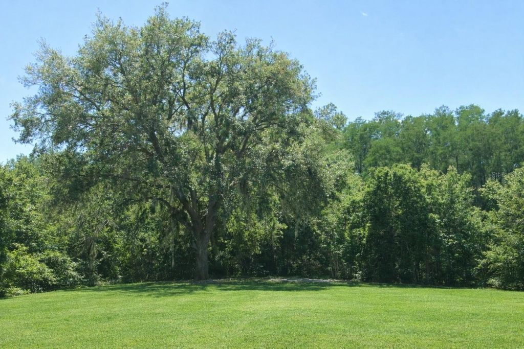 Photo of 0 Via Segovia, New Port Richey, FL 34655 (MLS # TB8481743)