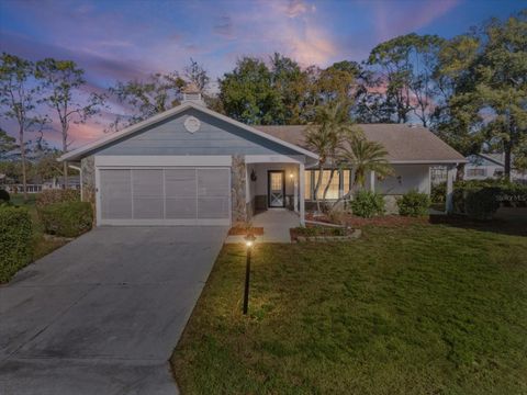 2351 PALM SPRINGS COURT SPRING HILL FL 34606