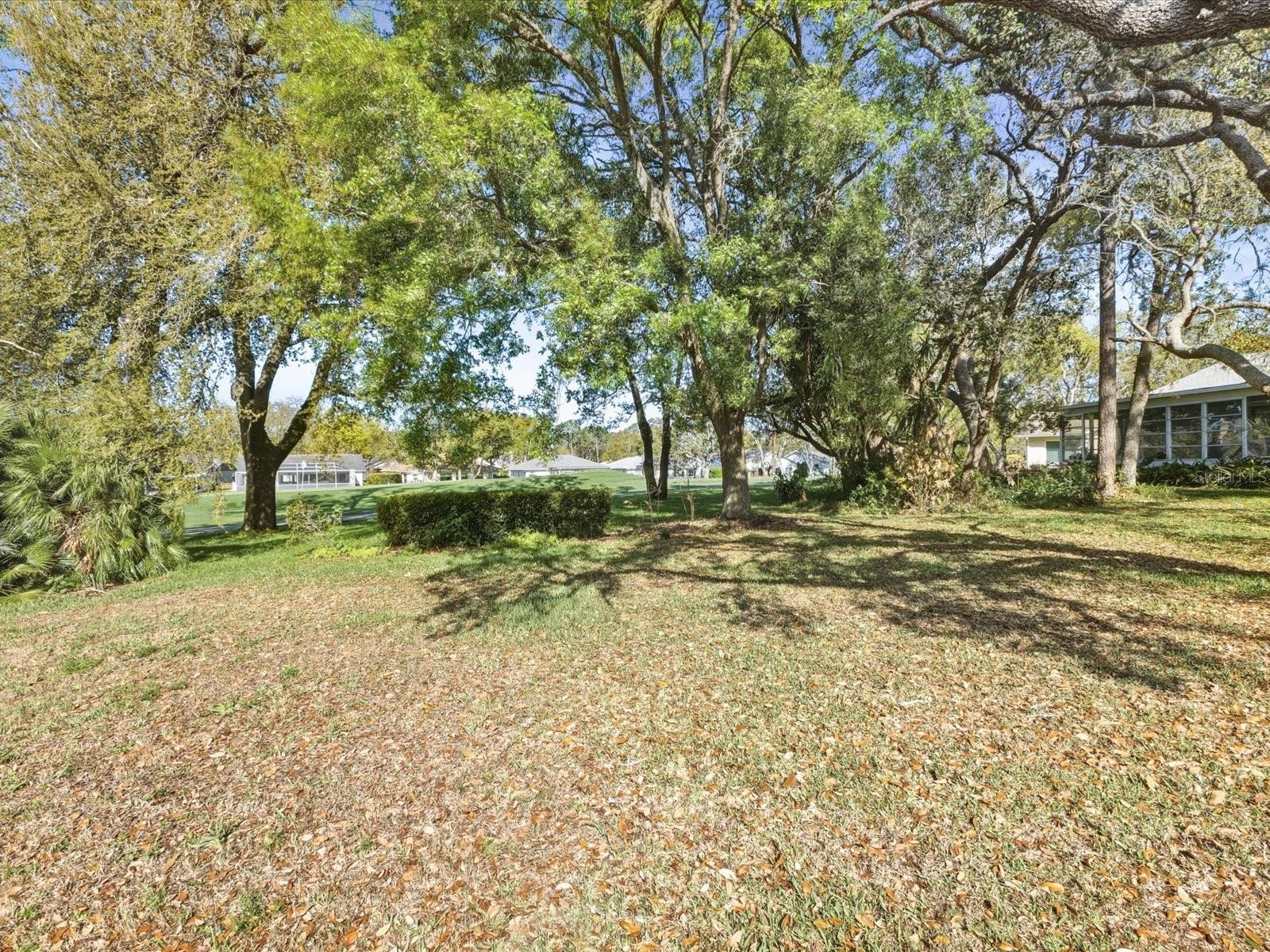 TIMBER PINES - Residential