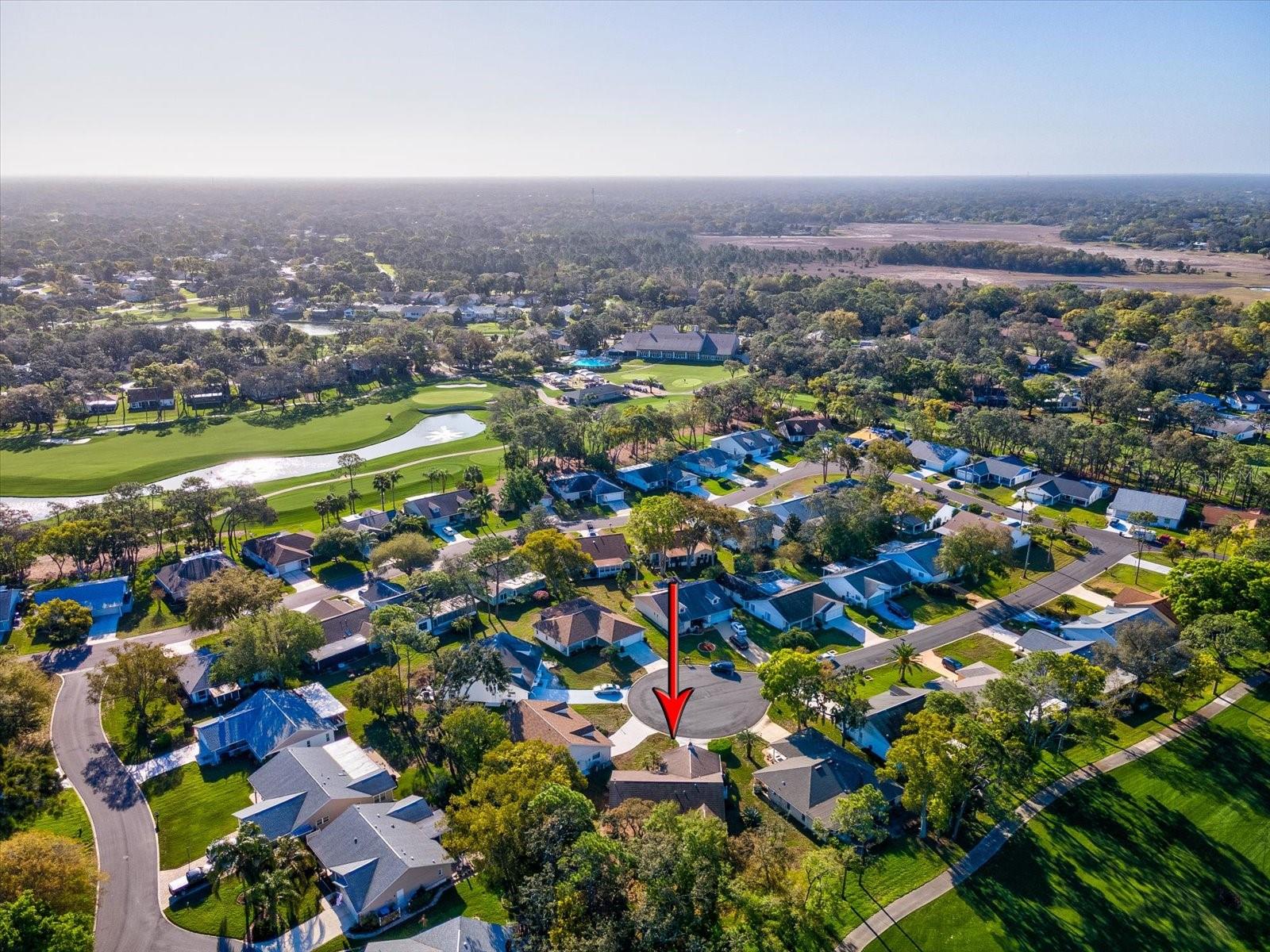 TIMBER PINES - Residential