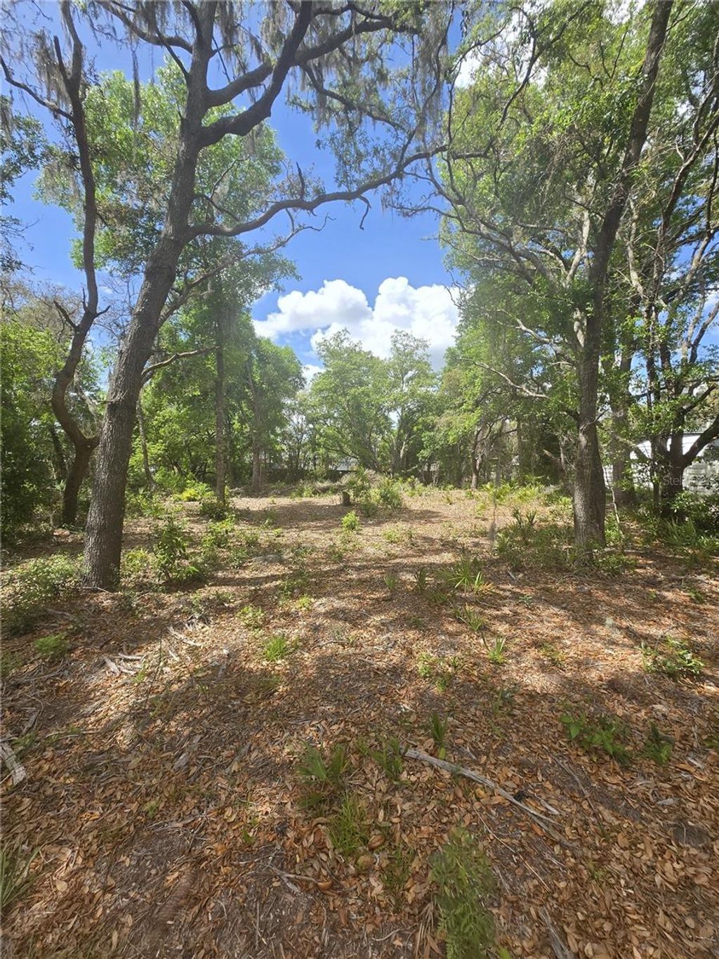Photo of 8140 Walt Williams Road, Lakeland, FL 33809 (MLS # S5147069)