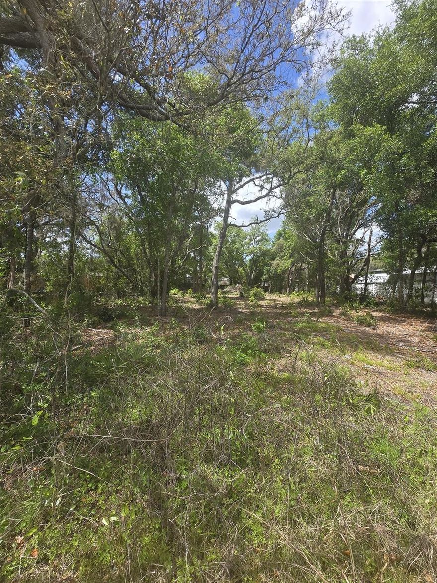 YOUR LAKELAND HOMESITE AWAITS! This Half-Acre parcel on Walt Williams Rd offers the space and privacy you just can't find in a standard subdivision. Situated in a prime location with easy commutes to both Tampa and Orlando, minutes from shopping and dining with easy I-4 access, this lot is ready for your vision. No restrictive covenants mean you have the flexibility to design your lifestyle exactly how you want it. Well-maintained road frontage and high-and-dry land make this a premium choice for builders and homeowners alike. Don't settle for a cramped lot when you can have a half-acre of Florida sunshine!