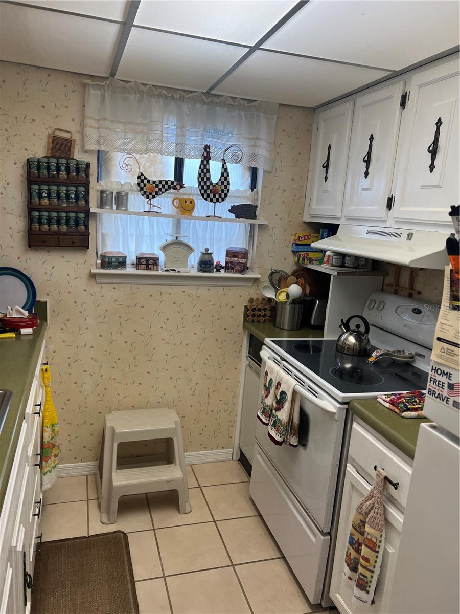 ERROL ESTATES - Residential