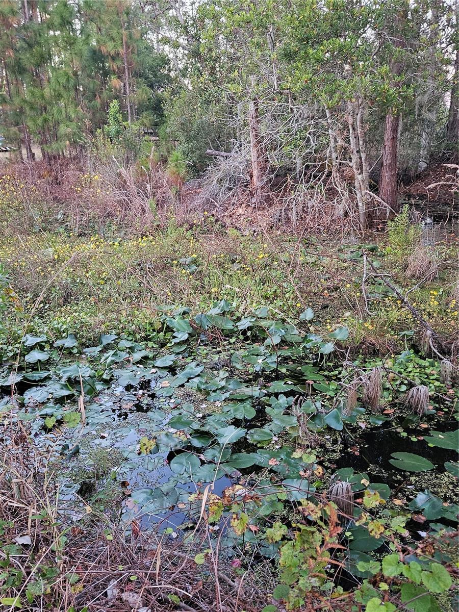 FROM NE COR OF SEC RUN S 04DEG 20 MIN50SEC W 330 F - Residential