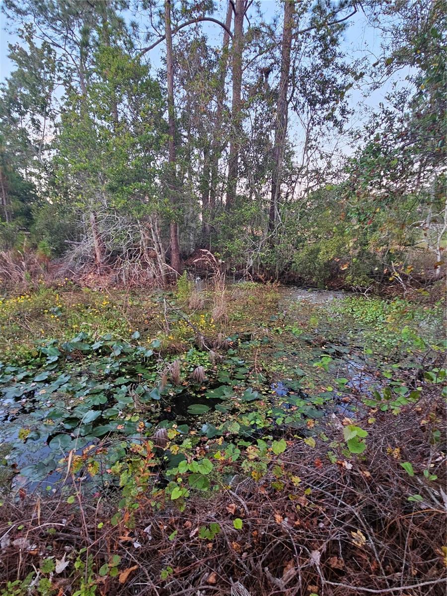 FROM NE COR OF SEC RUN S 04DEG 20 MIN50SEC W 330 F - Residential