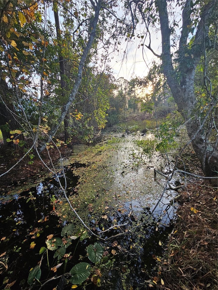 FROM NE COR OF SEC RUN S 04DEG 20 MIN50SEC W 330 F - Residential