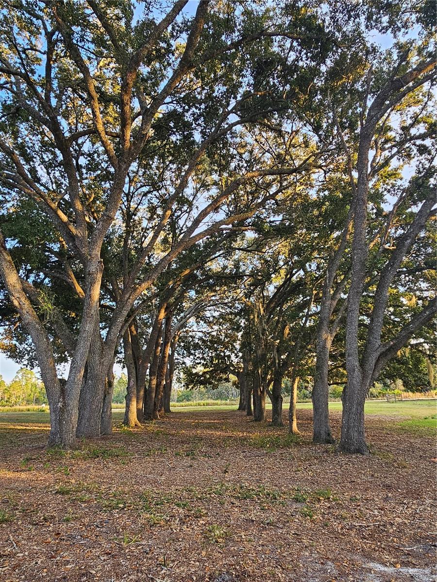 FROM NE COR OF SEC RUN S 04DEG 20 MIN50SEC W 330 F - Residential