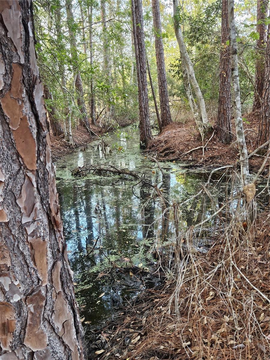 FROM NE COR OF SEC RUN S 04DEG 20 MIN50SEC W 330 F - Residential