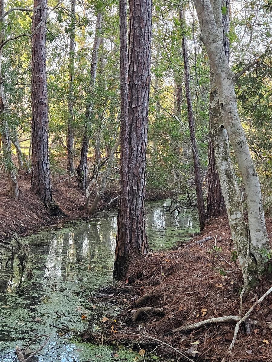 FROM NE COR OF SEC RUN S 04DEG 20 MIN50SEC W 330 F - Residential