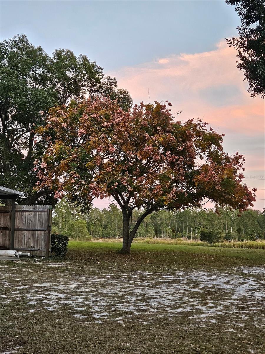 FROM NE COR OF SEC RUN S 04DEG 20 MIN50SEC W 330 F - Residential