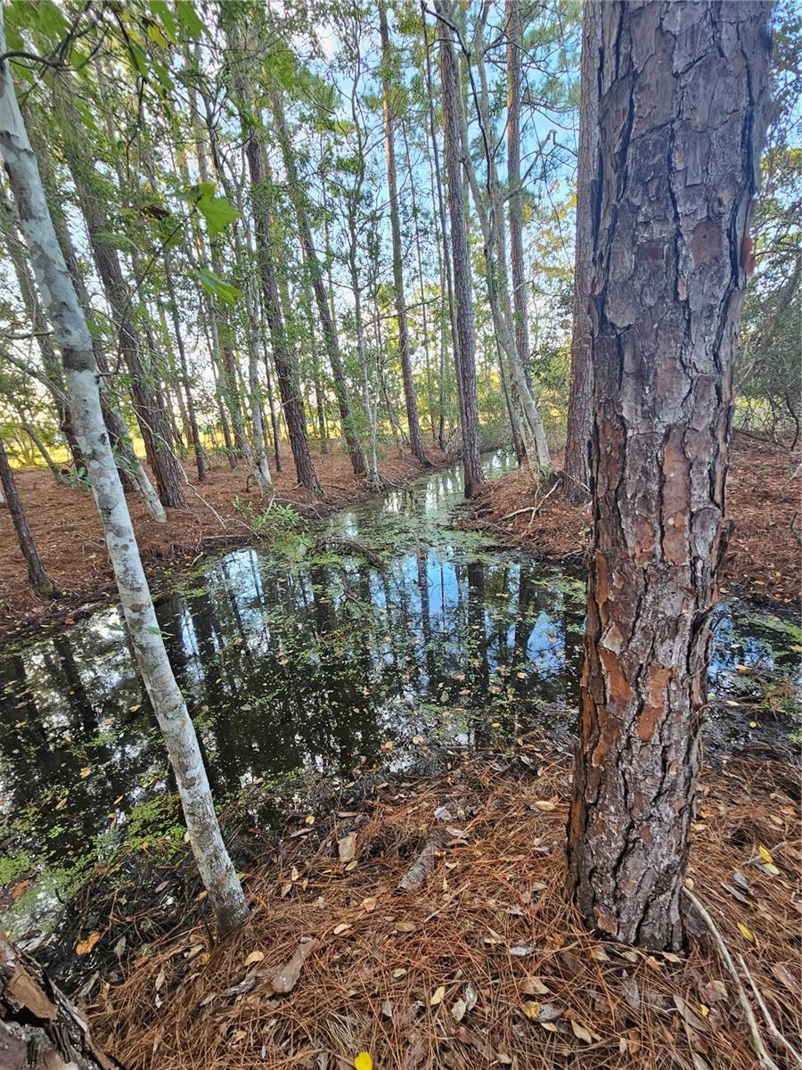 FROM NE COR OF SEC RUN S 04DEG 20 MIN50SEC W 330 F - Residential