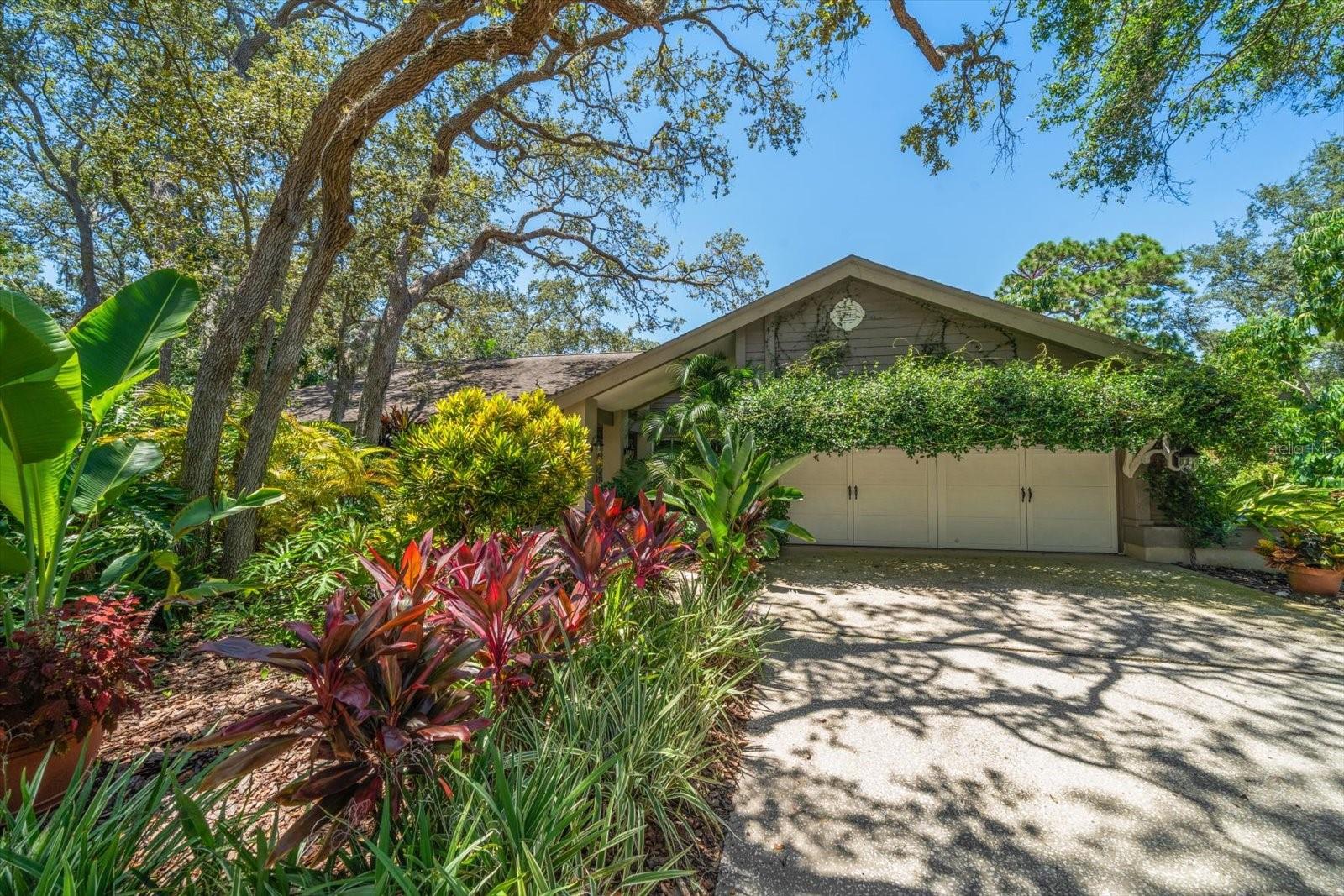 2418 SUMMERWOOD COURT