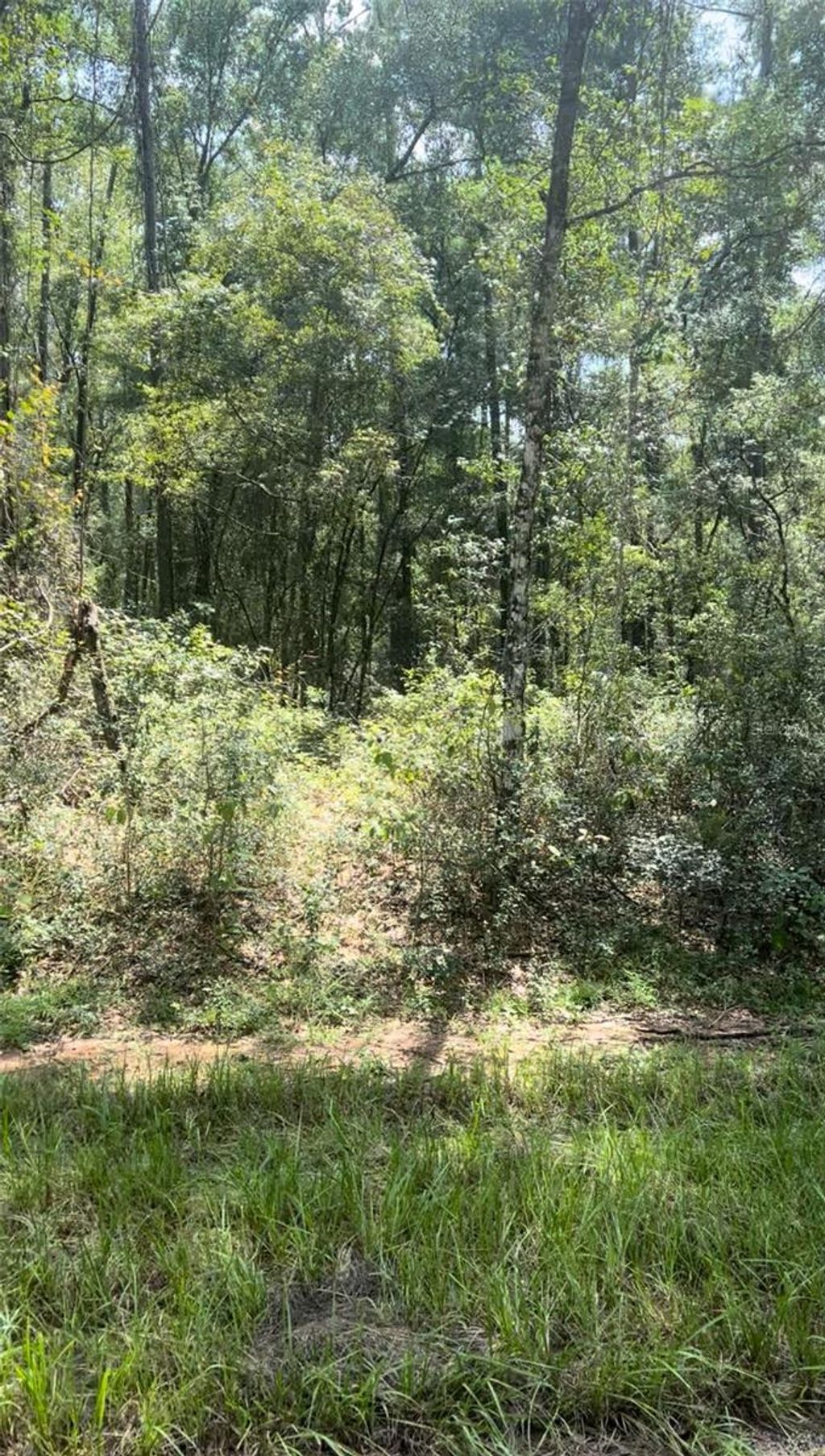 Photo of 1412 E Carson Road, Citrus Springs, FL 34434 (MLS # OM710541)