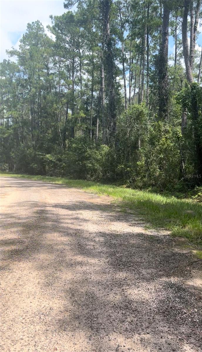 CITRUS SPGS UNIT 17 - Land