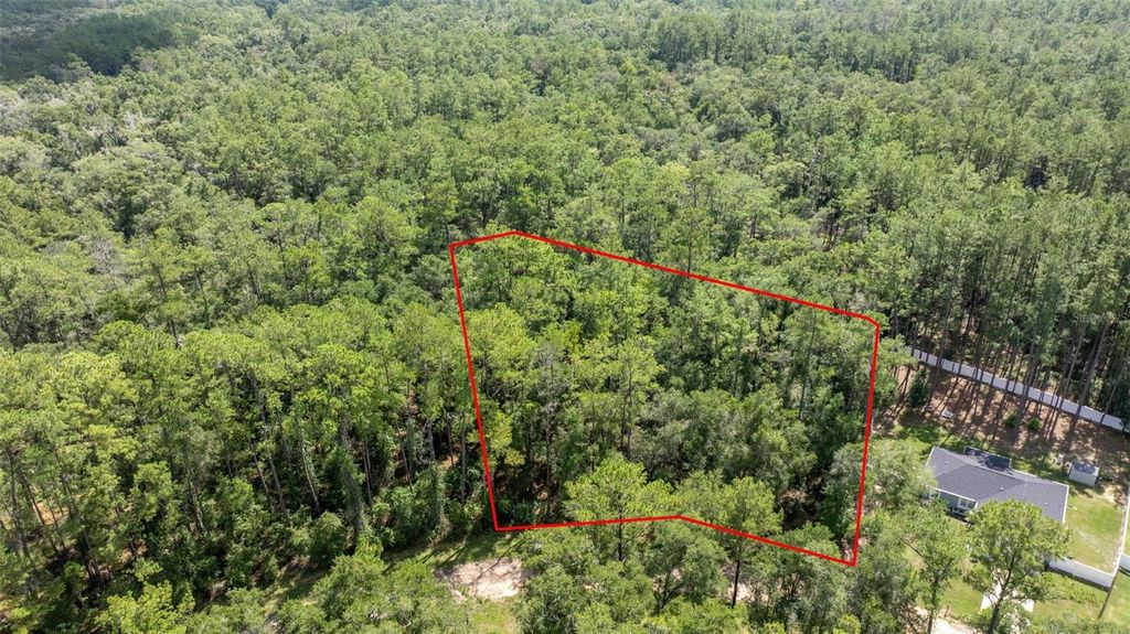 Photo of 1412 E Carson Road, Citrus Springs, FL 34434 (MLS # OM710541)