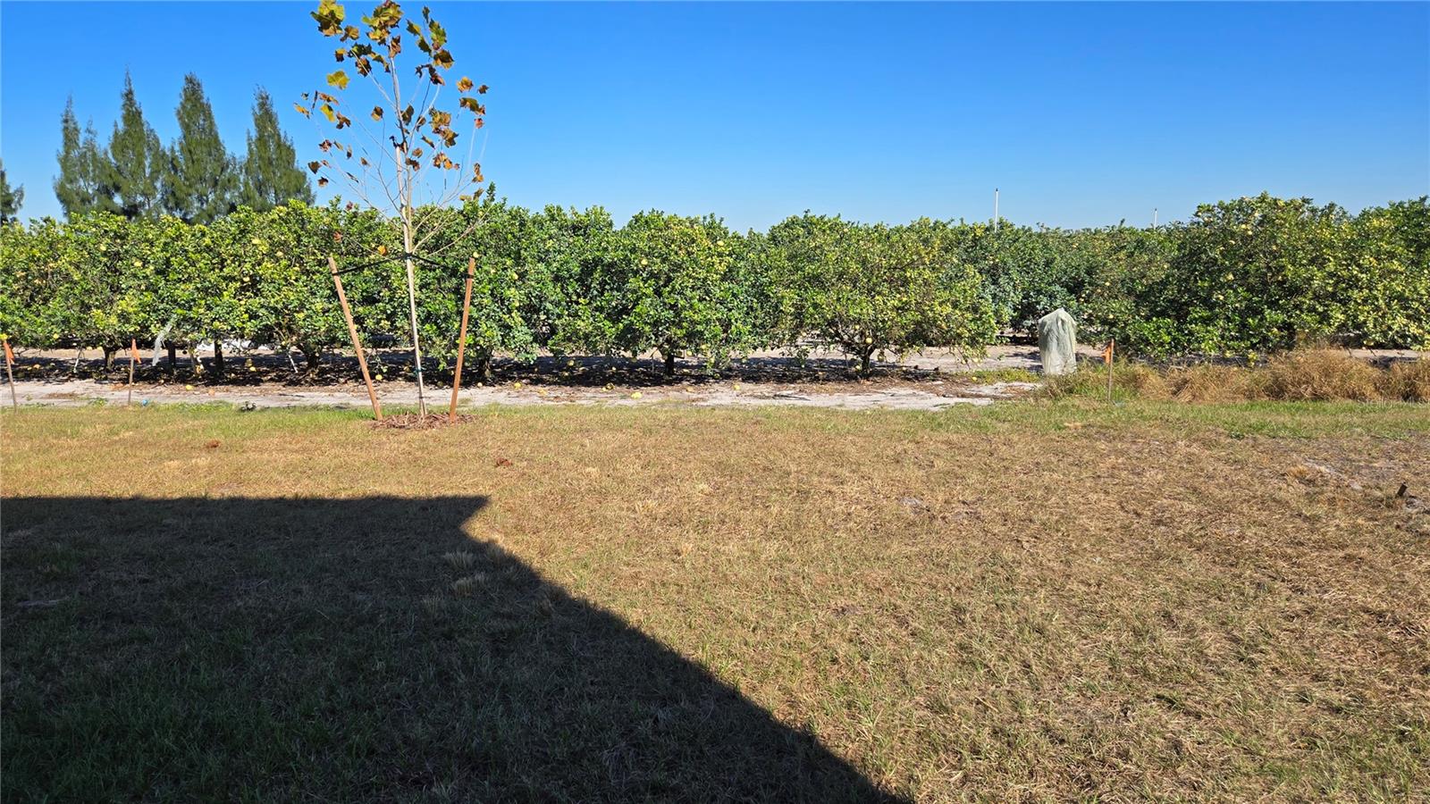 PEACE CREEK RESERVE 40'S - Residential Lease