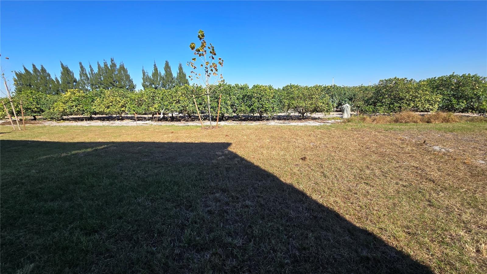 PEACE CREEK RESERVE 40'S - Residential Lease