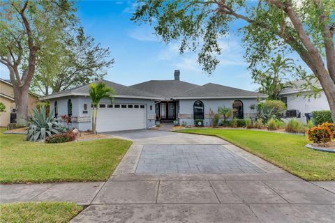 A home in APOLLO BEACH