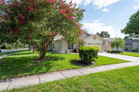 A home in CLEARWATER