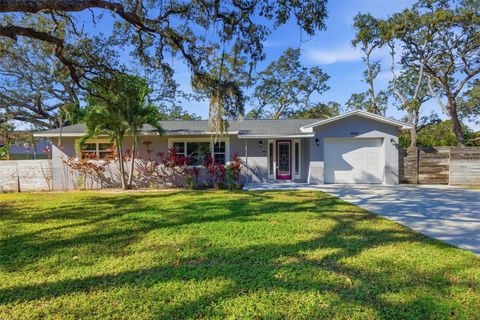 5080 OAKLAWN LANE ST PETERSBURG FL 33708