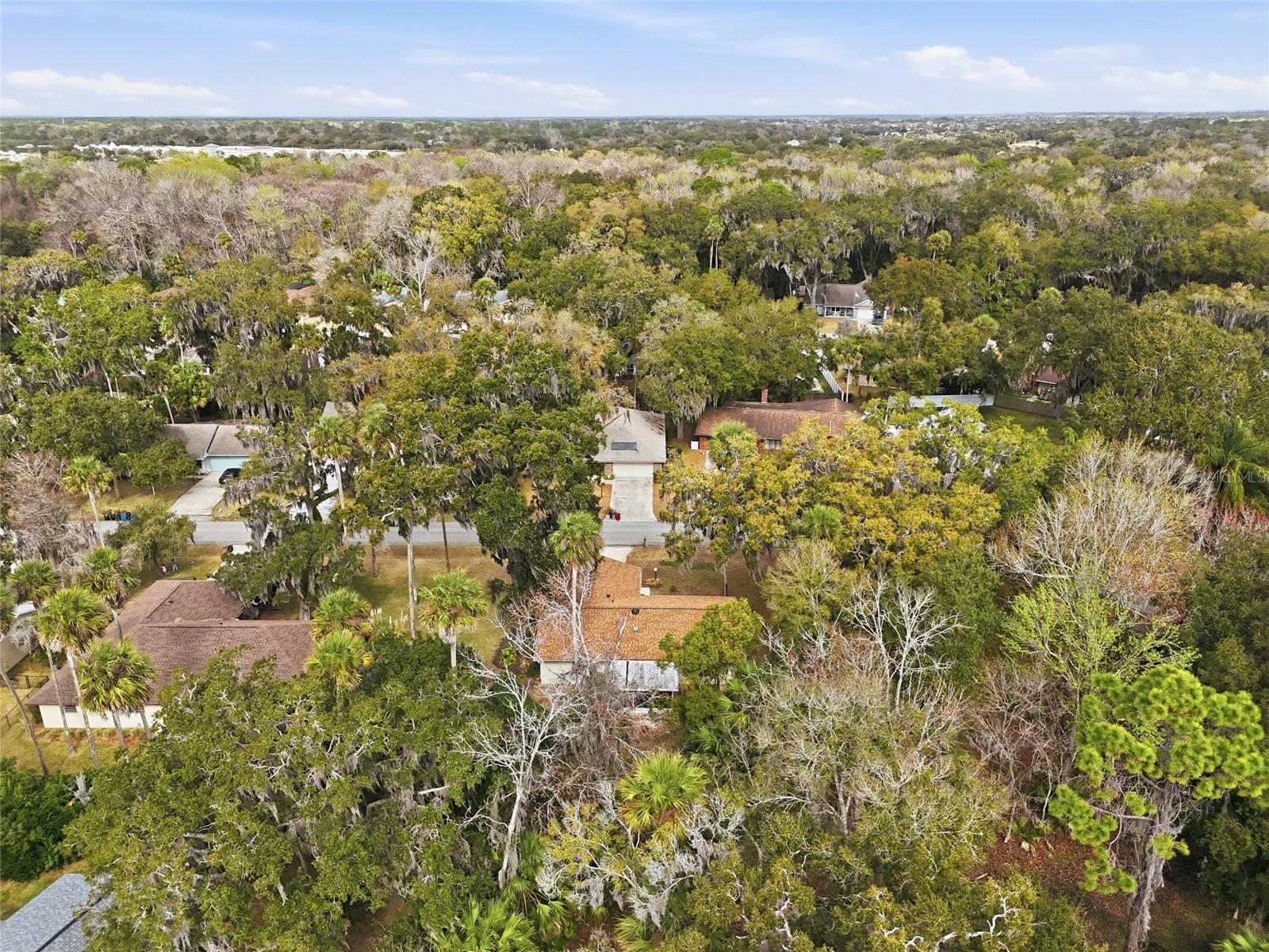 PALM COAST/BERNARD MDWS SEC 81 - Residential