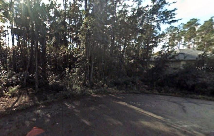 Your dream home awaits! Build on this beautiful quarter-acre lot, nestled on a quiet cul-de-sac in sunny Palm Coast. This is an incredible opportunity—priced for a quick sale as a drop lot. Enjoy living just minutes from pristine beaches, top-rated golf courses, and all the shops and restaurants that make Flagler County a fantastic place to call home.