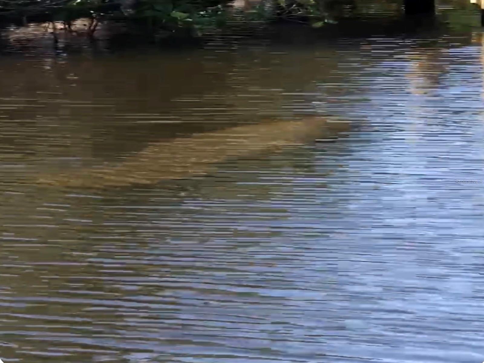 GROVE CITY TERRACE - Residential