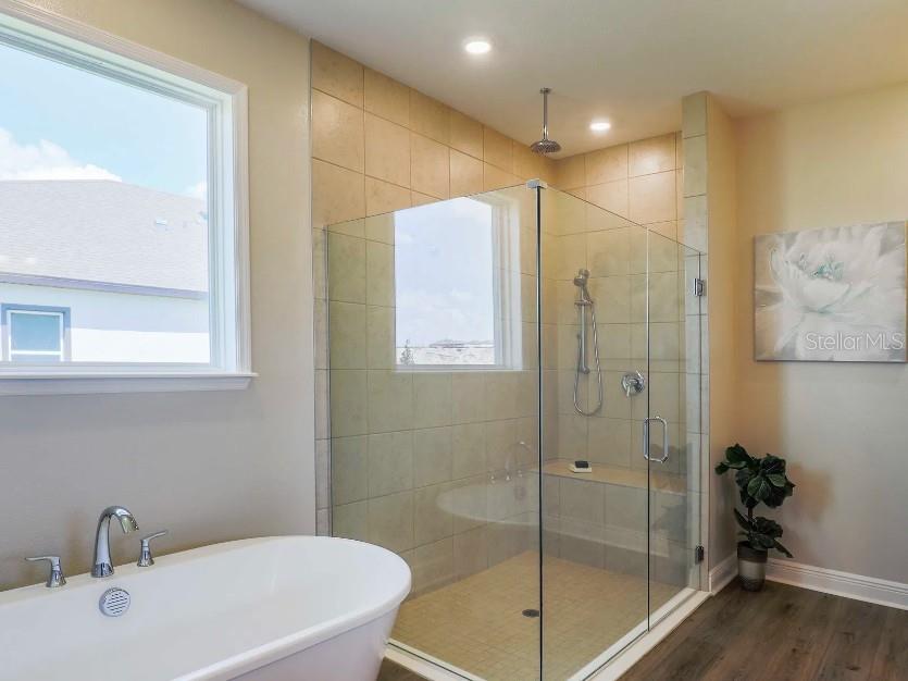 MOUNT PLYMOUTH GREEN - Residential