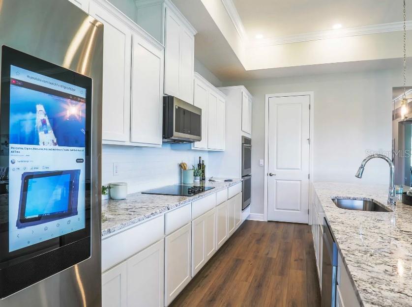 MOUNT PLYMOUTH GREEN - Residential