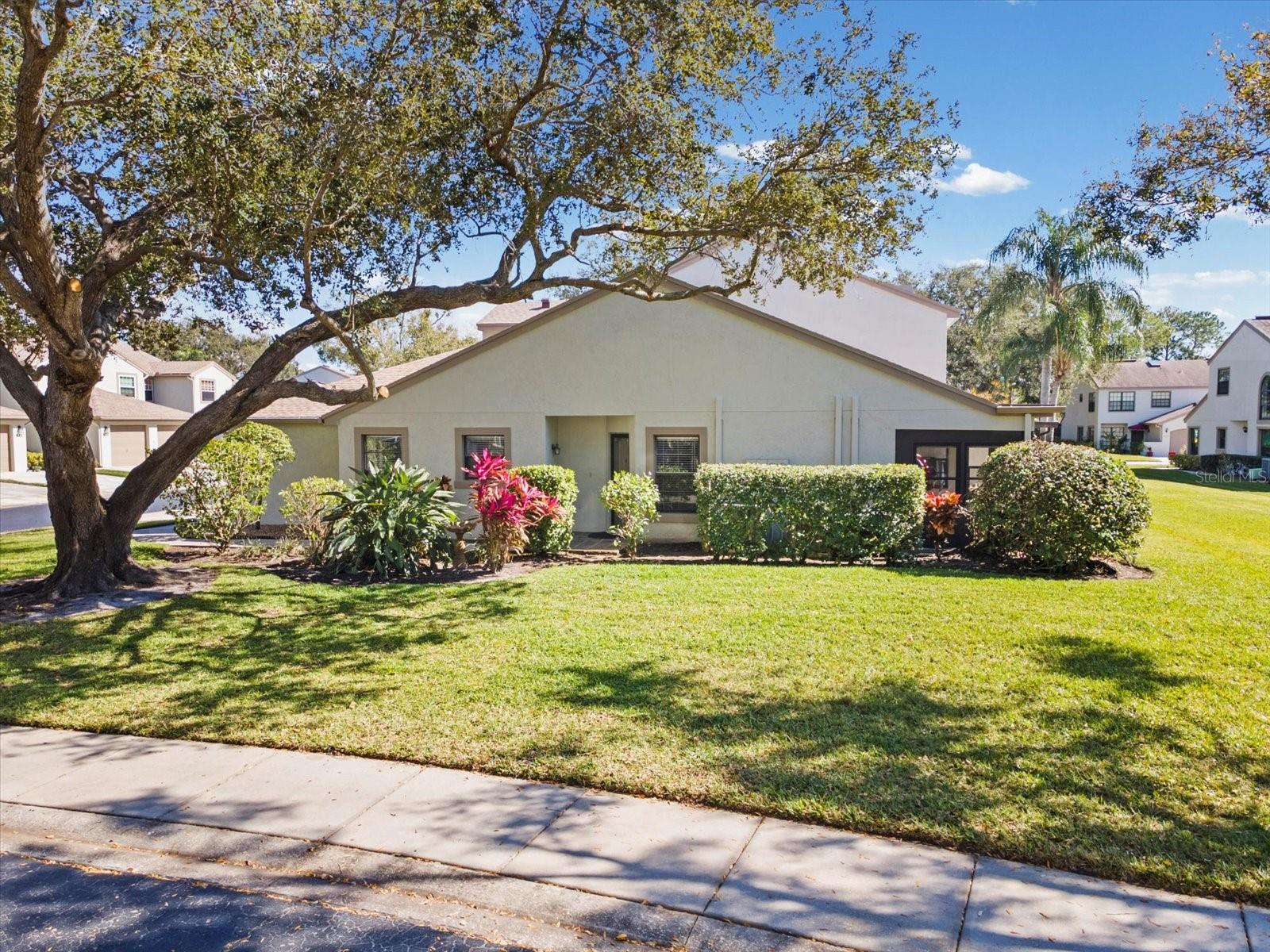 CHEVY CHASE CONDO - Residential