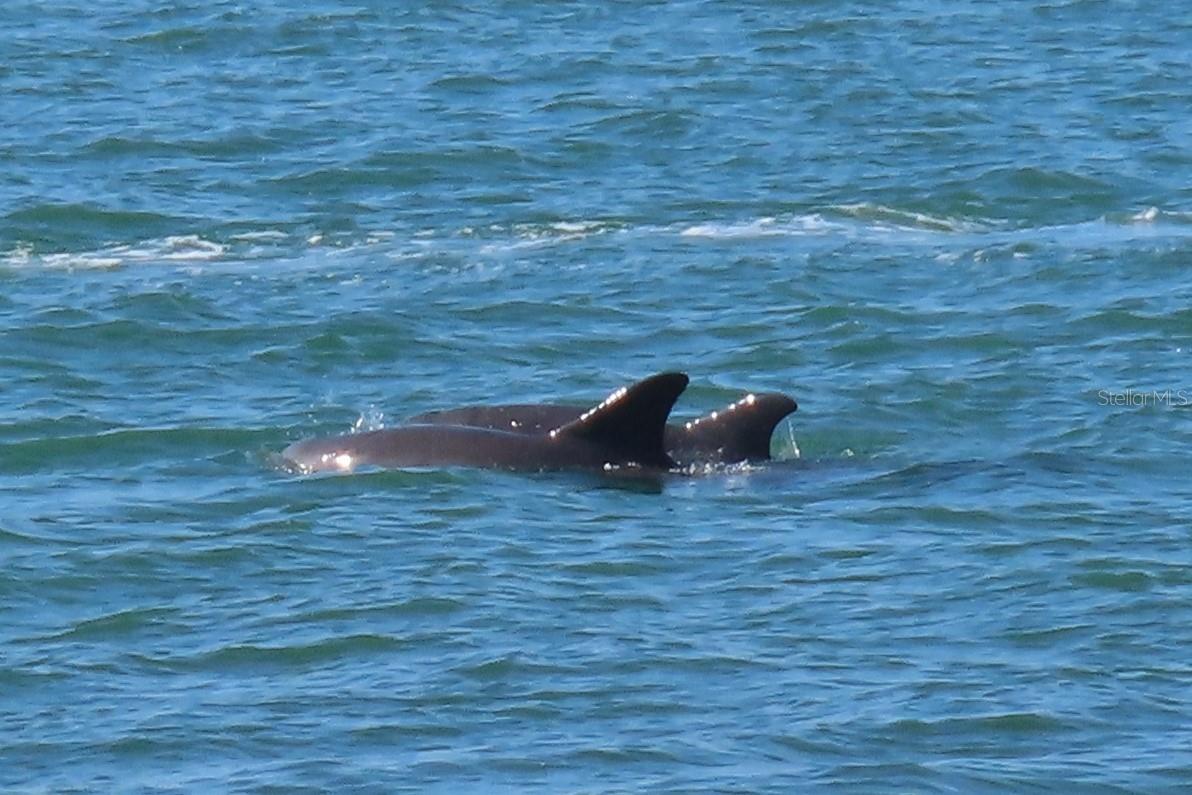 ROYAL STEWART ARMS - Residential