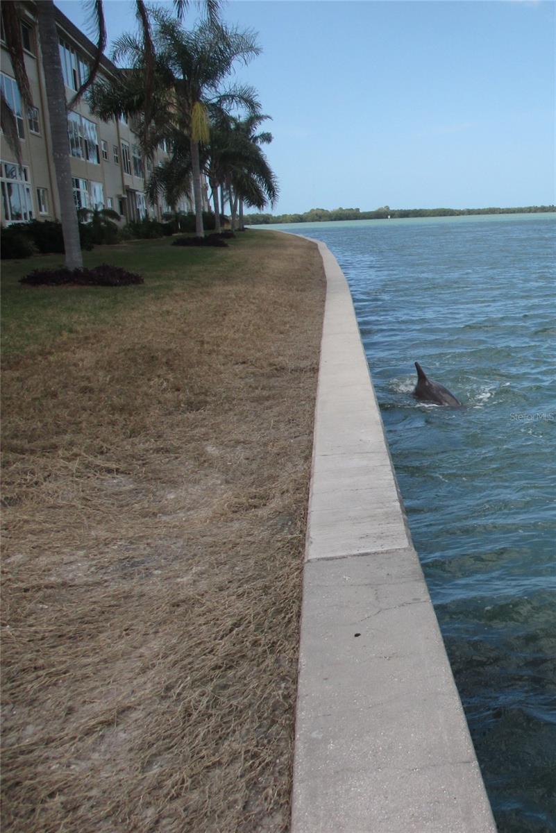 ROYAL STEWART ARMS - Residential