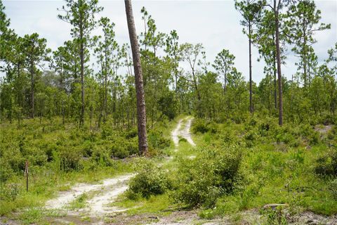 Tiny photo for SE State Road 121 Lot C & D, Morriston, FL 32668 (MLS # OM695504)