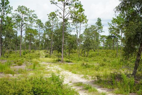 Tiny photo for SE State Road 121 Lot C & D, Morriston, FL 32668 (MLS # OM695504)